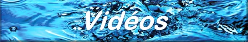 bannervideos3.jpg